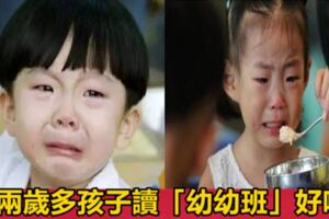 臺灣教育專家：幼稚園裡超前教育的危害，等孩子上二年級才真正爆發