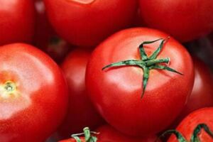 西紅柿不管生吃、熟吃都有營養，搭配茄子、土豆、蝦仁營養更豐富