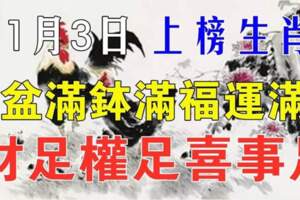 11月3日好運到來，事業財運家運皆旺的生肖