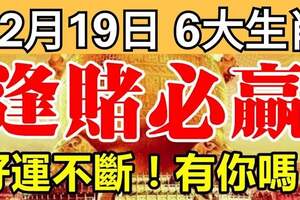 12月19日開始，好運不斷，逢賭必贏的6大生肖！