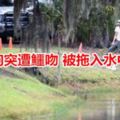 她遛狗突遭鱷吻被拖入水中身亡