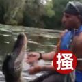 反差萌？美國猛男徒手餵兇鱷猛獸抬頭討摸摸網：狗狗4ni！