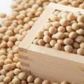 中國大豆又多一出口國！美國大豆的現儲量打破歷史記錄