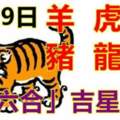 8月19日生肖運勢_羊、虎、狗大吉