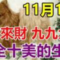 11月10日八方來財，九九大順，十全十美的生肖