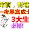 端午節前財運飆升，有望一夜暴富成土豪的生肖
