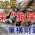 6月26日腳踩（狗屎運）一筆橫財到賬的生肖