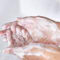 勤洗手真的很重要！　小學師用5片吐司做「洗手實驗」：不要過度仰賴乾洗手！
