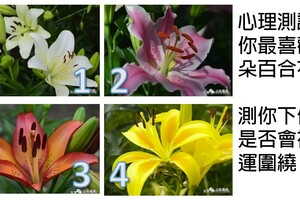 心理測試：你最喜歡哪朵百合花？測你下個月是否會被好運圍繞