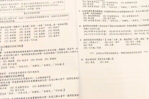 國民黨總統初選民調內容曝光　答完這9題決勝負