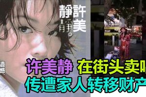 傳遭家人轉移財產　許美靜街頭賣唱境況淒慘
