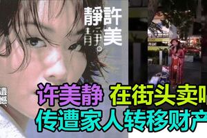 傳遭家人轉移財產　許美靜街頭賣唱境況淒慘