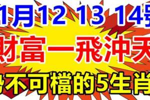 11月12.13.14號財富一飛沖天，這些生肖勢不可檔