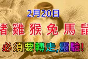 2月20日（豬、雞、猴、兔、馬、鼠）好事發生