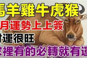 3月運勢上上簽，【馬羊雞牛虎猴】財運很旺！