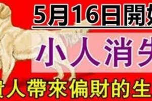 5月16日開始小人消失，貴人帶來偏財，財氣越來越好的生肖