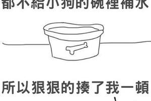 因為小狗喝了老婆杯子裡的水，我被揍了....事後老婆思考一番以後....