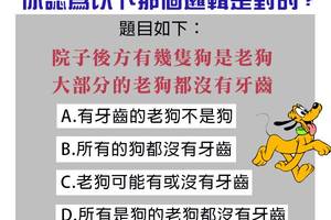 「院子後方有幾隻狗是老狗，大部分的老狗都沒有牙齒。」