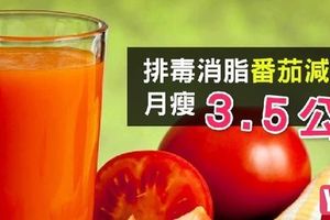 番茄減肥法 - 排毒消脂月瘦3.5公斤！