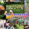 周末來趟eco之旅！柔南8家休閒生態農場