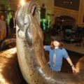 不可思議！這是「史上最大的蛇」，專門「吃鱷魚」為生！