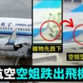 再有空姐跌出飛機　鄭州機場空姐從波音737艙門墮地　骨折送院