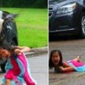 美國5歲女孩遭大鵝瘋狂攻擊，倒地大哭，路人救了她將鵝送去監禁