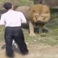 男子失足掉進獅園，獅子對他發起攻擊，他的舉動竟嚇退兩頭獅子！...