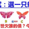 心理測試：4隻蝴蝶你最喜歡哪隻？