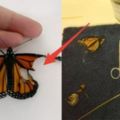 這個女孩異想天開，用裁縫工具幫失去翅膀的蝴蝶開刀，讓牠能再度飛上天，手術完的效果讓網友嚇傻！