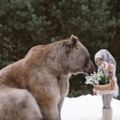 牠是熊家人！俄羅斯小熊被收養後「完全人類化」，超溫馨生活照暖到融化人心
