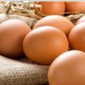 人人都吃雞蛋，卻不知道雞蛋「加一寶」，就能「甩掉老花眼」！這樣吃效果更佳！