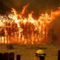 瑞定卡爾山火破壞力已造成兩名消防員和四名平民死亡加州史上第九強
