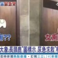 大象和長頸鹿哪間是男廁？他尿急奔廁所「選到快閃尿」還選不出來　闖進去後他瞬間笑了