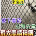 被下春藥，淪男女洩欲玩物，家犬患精神病被迫死！