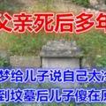 父親死後多年，托夢給兒子說自己太冷了，看到墳墓後兒子傻在原地