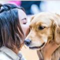 「愛跟狗狗說話」是幼稚的行為？　科學家：錯了，他們智商比其他人更高