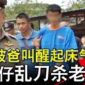 被爸叫醒起床氣暹仔亂刀殺老爸