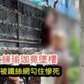 妙齡女練瑜珈竟墜樓衣服頭發被鐵絲網勾住慘死