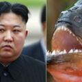 北韓到底有多恐怖？金正恩最新「殘酷處決方法」竟是把OO餵食人魚吃…慘不忍睹