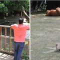 中國遊客拿石頭狠砸！袋鼠被「砸到器官破裂而亡」，而「砸袋鼠的理由」讓全網憤怒：我砸你試試！