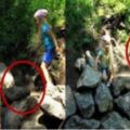 女孩爬到危險的岩石上，德國爸爸的舉動，讓台灣家長們豎起大拇指，網友：這就是「教育」的不同