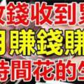 收錢收到累，9月賺錢賺到沒時間花的生肖