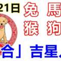 11月21日生肖運勢_兔、馬、虎大吉