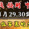 11月29.30號橫財連發，數錢數到手軟的生肖