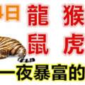 3月4日生肖運勢_龍、猴、牛大吉