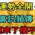 8月運勢全開，9月喜訊頻傳，四個生肖好運來了擋也擋不住