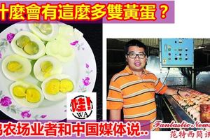 為什麼會有這麼多雙黃蛋？會不會是假蛋呢？