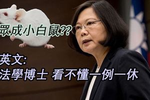 民眾成小白鼠蔡英文:我法學博士看不懂一例一休