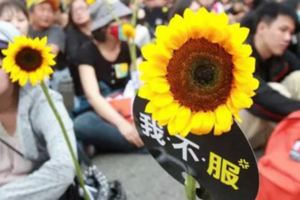 台灣教育家|洪蘭：台灣學生的自由與自私